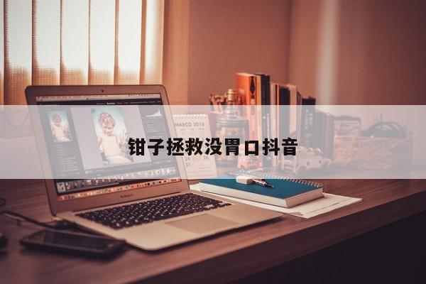 鉗子拯救沒(méi)胃口抖音