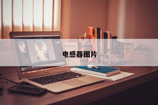 電感器圖片