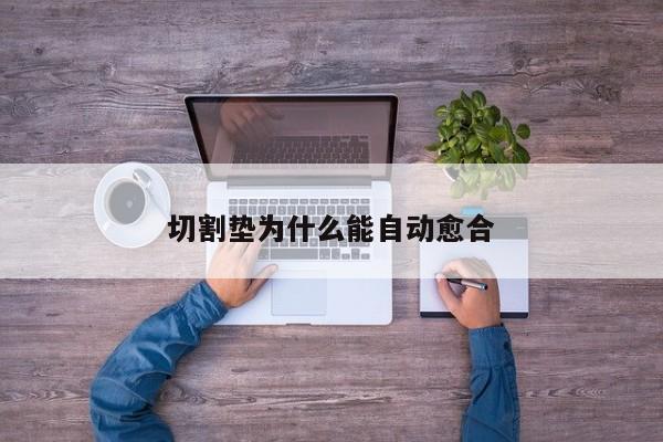 切割墊為什么能自動(dòng)愈合