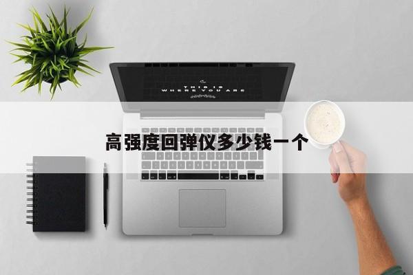 高強(qiáng)度回彈儀多少錢一個(gè)