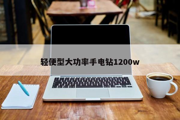 輕便型大功率手電鉆1200w