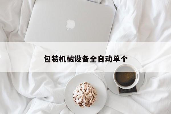 包裝機械設(shè)備全自動單個